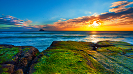newzealand