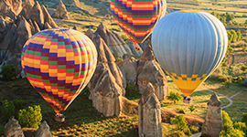 turkey