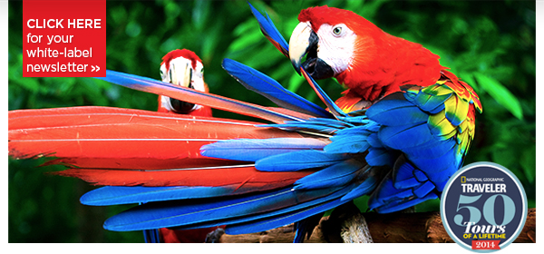 Exotic Escapes  Brazil, Kenya, India, Spain & More