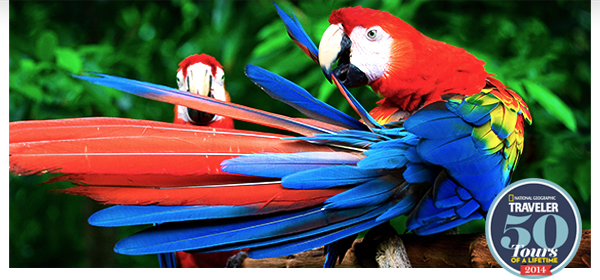 Exotic Escapes  Brazil, Kenya, India, Spain & More