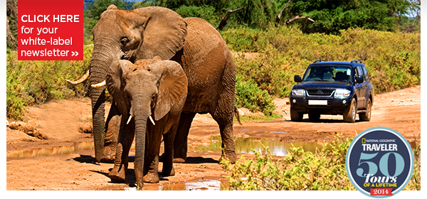 Last Minute Summer Specials & More - Costa Rica, Kenya & China