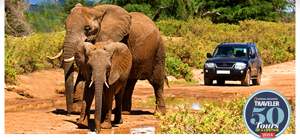 Last Minute Summer Specials & More - Costa Rica, Kenya & China