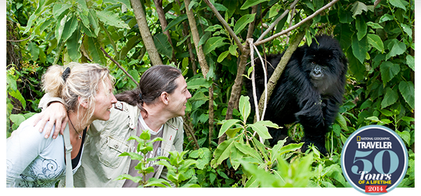 Private Tours priced just right  Spain, Belize, Scotland, Oz & more