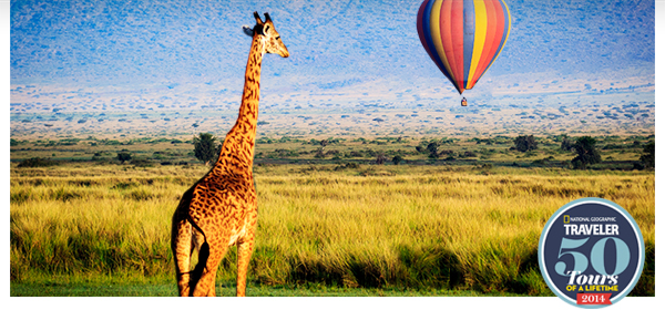 Wanderlust-Worthy Adventures - Japan, Kenya, Patagonia & More