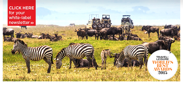 Safaris Around the World – India, Madagascar, Borneo & More