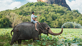 srilanka