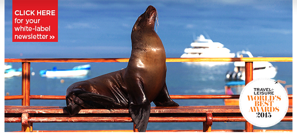 Timeless Treasures for Less  Cambodia, Turkey, Chile & More