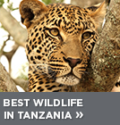 tanzania