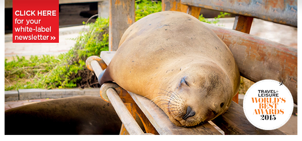 The Isles of Darwin and Beyond - Galapagos, Morocco, Hungary, Thailand & More