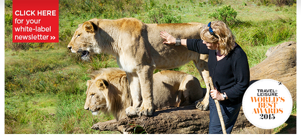 Start planning your 2016 travel with Kensington Tours - South Africa, Vietnam, Brazil, Germany & More