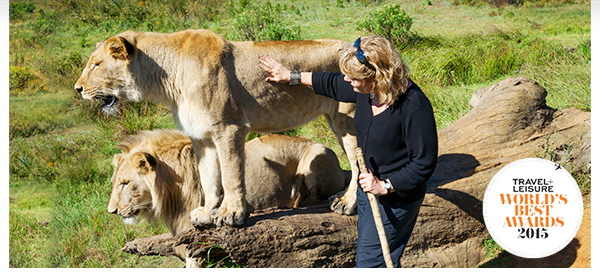 Start planning your 2016  travel with Kensington Tours - South Africa, Vietnam, Brazil, Germany & More