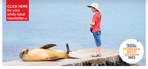 Start planning your 2016 travel with Kensington Tours - South Africa, Vietnam, Brazil, Germany & More