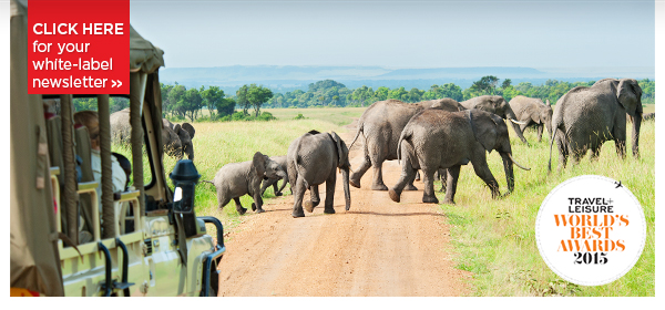 Circle of Life &  Gondola Rides - Tanzania, Italy, Argentina & More