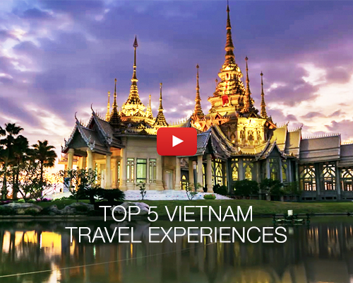 Insert alt text here