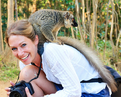 Madagascar Lemur Fever & More