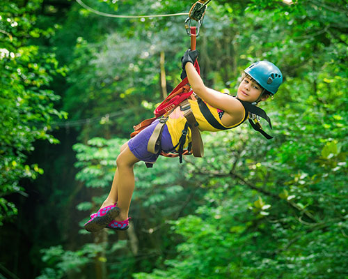 Book your Christmas travel now -                                              Space is limited!