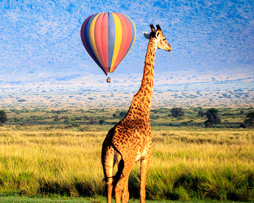 Top 6 Bucket List Adventures