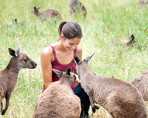 Discover Down Under & Beyond