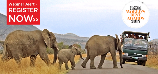 Webinar Alert - Dedicated  Groups Department Launched