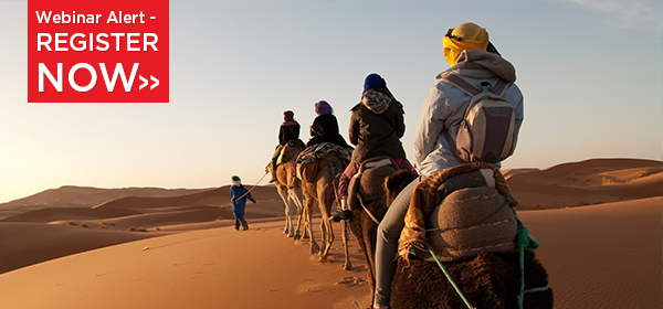 Webinar Alert - Dedicated  Groups Department Launched