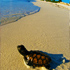 Thumbnail Image for Costa Rica Highlights