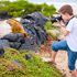 Thumbnail Image for Galapagos Family Adventure by Land 