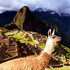 Thumbnail Image for Machu Picchu Discovery