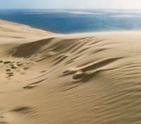 Dunes - Arcachon
