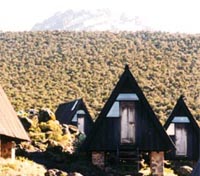 Horombo Camp