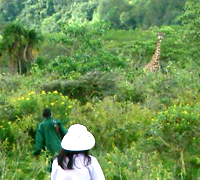 Mt Meru Hike Mt Meru Hike