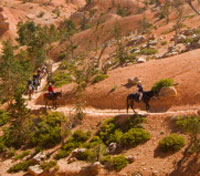 Horse riding