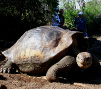 La Galapaguera