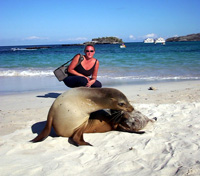 Sea Lion