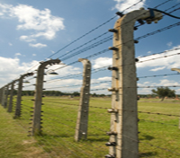 Barbed wire fence at Auschwitz