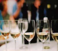 Wine Tasting Wine Tasting