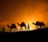 Camel Riding