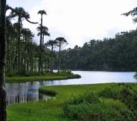 Laguna Toro Laguna Toro