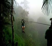 Ziplining in the cloudforest