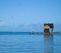 Roatan Institute for Deepsea Exploration