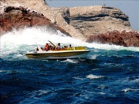 Ballesta Islands Tour