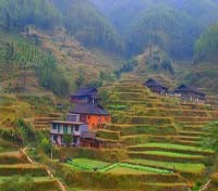 Longsheng rice paddies Longsheng rice paddies