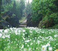 The path to Ham Rong Mountain 