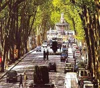 Cours Mirabeau