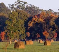 Villa Maria Ranch