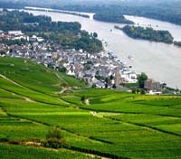 Rüdesheim