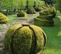 Prince Charles' Highgrove Gardens