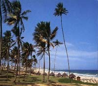 Jardin de Alah Beach Jardin de Alah Beach