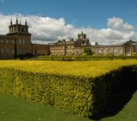 Exclusive access to Blenheim Palace