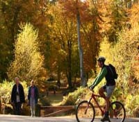 Leisure Activities at Chewton Glen