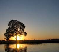 Pantanal